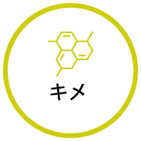 キメ
